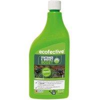 Organic Plant Feed - Concentrated Liquid Fertiliser for Indoor & Outdoor Plants