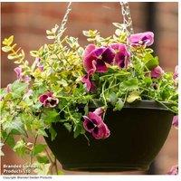 25cm Plastic Hanging Basket & Chains - Durable, Weather-Resistant Planter