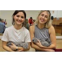 60 Minutes Kitty Yoga Classes experience for One - London & Manchester Locations