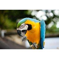 Amazonia Entry Ticket for 2, 3 or 4 at M&D's Scotland's Theme Park