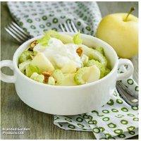 Apple 'Golden Delicious' Bare Root Fruit Tree - High Yield, Easy Care