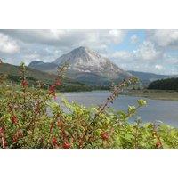 Relaxing Donegal 2 or 3 Night Getaway at stn Loch Altan - with Breakfast & Dinner for Two