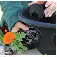 BloomAround 30cm Hanging Baskets - Weatherproof, Easy-Plant, Large-Capacity