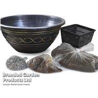 Water Lily Tricolour Pond Kit with Patio Pot - Flowering Aquatic Perennial