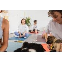 1-Hour Puppy Yoga Experience in London - Relax & Unwind with Playful Pups!
