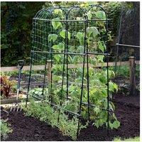 Garden Pea & Bean Tunnel - Outdoor Crop Support Frame
