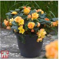 Set of Up to 5 Grey Sabina Patio Planter Pots - Lightweight & Weatherproof