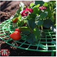 Strawberry Plant Support Frame - 30cm Durable Plastic, Easy-Install, Boosts Airflow & Clean Harvests