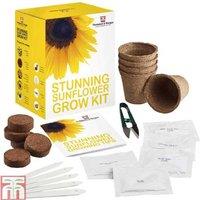 Sunflower Seed Growing Kit - Vibrant Annual Flower, Easy Care