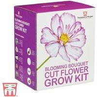 Cut Flower Seed Grow Kit - Flowering Annuals for Vibrant Bouquets