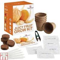 Juicy Fruits Seed Grow Kit - Grow Rhubarb, Strawberry, Melon, Tomato & Pineapple Berries