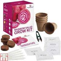 Rainbow Salad Vegetable Seed Grow Kit - 5 Colourful Varieties