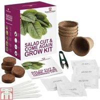 Cut & Come Again Salad Leaf Seed Grow Kit - Continuous Harvest