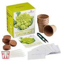 Gourmet Kitchen Herb Seed Grow Kit - Complete Indoor Gardening Set