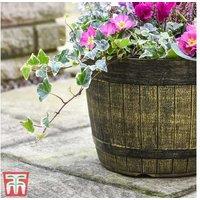 Weatherproof Whisky Barrel Garden Planter - Lightweight, 30cm Pot