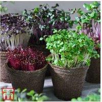 Microgreens Classic Seed Grow Kit - Complete Urban Gardening Solution
