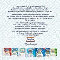 Regina Blitz 3-Ply Mega-Absorbent Kitchen Paper Towels - Jumbo Rolls, Pack of 4