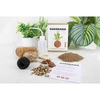 The Art of Kokedama DIY Kit - Craft Authentic Japanese Moss Ball Plants