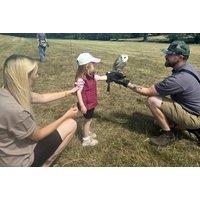 1-Hour Hands-On Owl Flying and Handling Experience - Toras Falconry, Burntwood