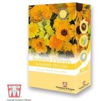 Summer Flowers Yellow Mix Scatter Pack - Annual Flower Seeds for Borders