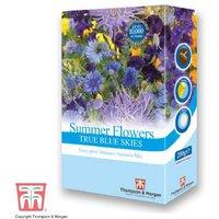 Blue Summer Flowering Annuals Scatter Pack - Easy Sow Mix