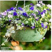 Sage Green Glazed Effect Hanging Basket - Durable Outdoor Planter