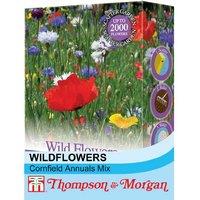 Wildflower Seed Scatter Pack - Cornfield Annuals Mix for Pollinators