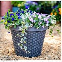 Large Wicker-Style Planter for Indoor & Outdoor Plants (40cm)