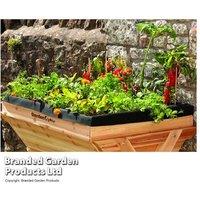 Large Wooden Raised Planter for Flowers, Herbs & Vegetables