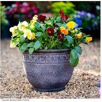 Athena Antique Stone Effect Eco-Friendly Garden Planter (1 or 2 Pack)