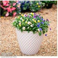 Diamond Planter Stone Ivory - Large Eco-Friendly Garden Planter