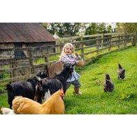 60min Animal Feeding Mini Farmers Experience - Feed Lambs, Goats, Pigs, Ponies, Chickens and more! Candybank Farm, Biggar - Easter Holidays Availabili