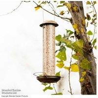 Weather-Resistant Mealworm & Suet Bird Feeder - Durable Zinc & Brass, Songbird-Friendly