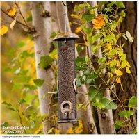 Supreme Weather-Resistant Seed Feeder for Songbirds - Durable Brass & Mesh Design