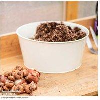 Peat Free Bulb Compost 40L - Sustainable, Nutrient-Rich Mix for Flowering Bulbs