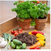 Peat-Free Greenhouse Vegetable Compost - 100% Organic, Seaweed Enriched