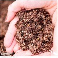 Peat Free Professional Growers Compost 40L - Enriched, Sustainable Mix