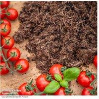 Peat Free Tomato Compost 40L - Premium Plant Feed & Moisture Lock