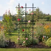 Garden Gear Metal Rose Trellis Outdoor Decor - Weather-Resistant Climbing Plant Support