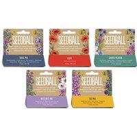 Colorful Wildflower Seedball Packs: 5 Mixes, 3,600 Seeds for Bees & Butterflies