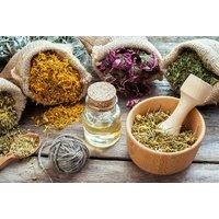 Master Herbalist Online Course