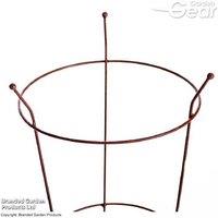 Medium Corten Steel Plant Support Frame - Rust Effect, 63x34cm, Perennial Flower Aid
