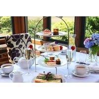 4* Wellness Spa Day with Leisure Access, Treatment, Afternoon Tea & &pound;10 Voucher - Hampshire