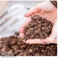 Peat Free Multipurpose Compost 40L - Enriched with John Innes & Seaweed