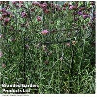 Half Round Plant Support H60cm - Durable Plastic-Coated Metal Garden Stake