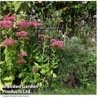 Conical Plant Support - Durable Plastic-Coated Metal, Versatile Garden Structure (3 Sizes)