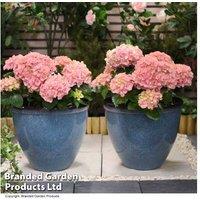 Glazed Effect Bell-Shaped Patio Planter - Durable Outdoor Pot
