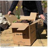 Amber Shades Pre-Planted Hanging Flower Basket - Year-Round Colour