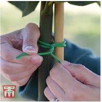 Garden Essentials Soft Plant Tie - Adjustable, Gentle Support for Stems