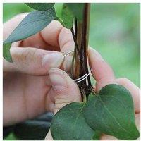 Galvanised Metal Plant Support Rings - 35mm, Rust-Resistant, Easy-Fit for Climbing Plants